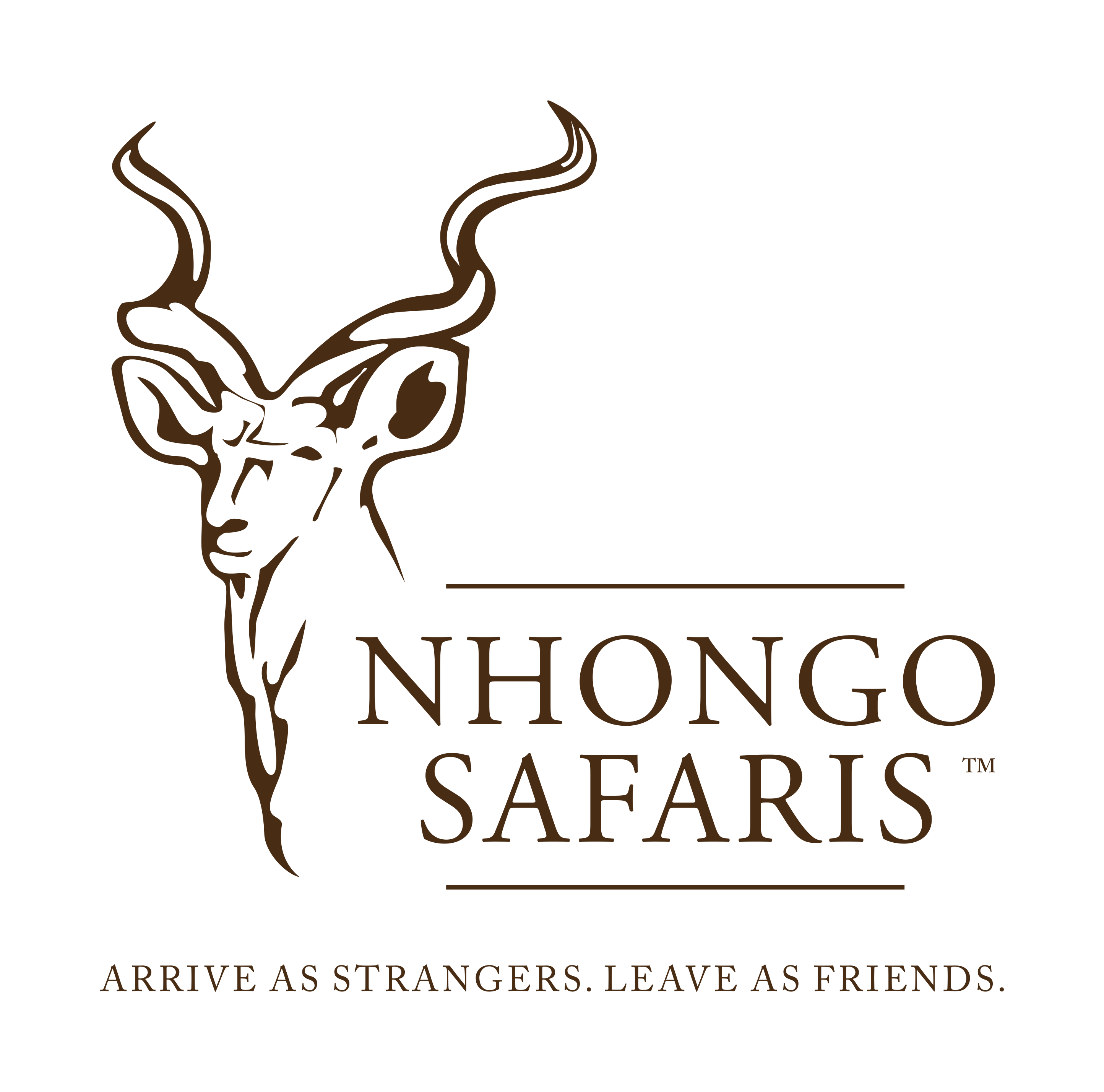 Winner small image - Nhongo Safaris